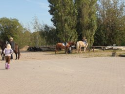 img_7396_web
